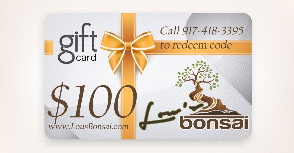 $100 GIFT CERTIFICATE