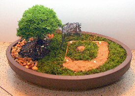 Indoor Bonsai Baseball Tree