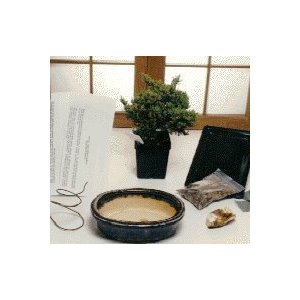 Complete Indoor Bonsai Kit