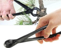 Beginner bonsai concave cutter.