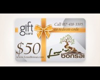 $50 GIFT CERTIFICATE
