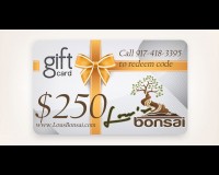 $250 GIFT CERTIFICATE