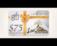 $75 GIFT CERTIFICATE