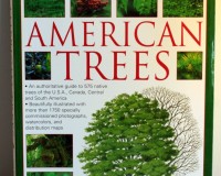 American Tree Bonsai Book