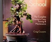 Bonsai School Book