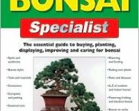 The Bonsai Specialist
