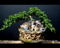 Juniper Trained Bonsai Tree in Dog Bonsai Pot