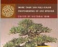 Simon and Schuster's Guide