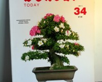 *OUT OF PRINT BONSAI TODAY #34 BONSAI BOOK
