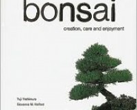 The Art of Bonsai
