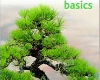 Bonsai Basics