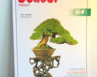 *OUT OF PRINT BONSAI TODAY #64 BONSAI BOOK