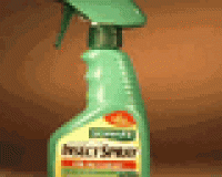 Indoor Insect Spray for Your Bonsai Trees
