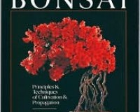 The art of living bonsai book
