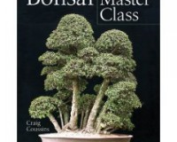 Bonsai Master Class (Hardcover)